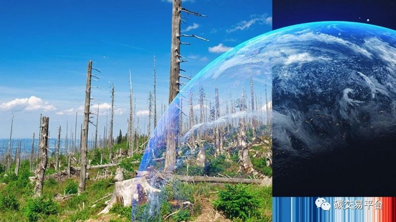 vins annual conference