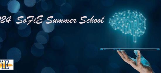 2024 SoFiE Summer School